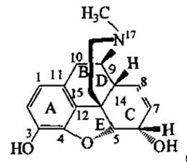 吗啡结构式